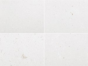 Lymra Limestone Honed 